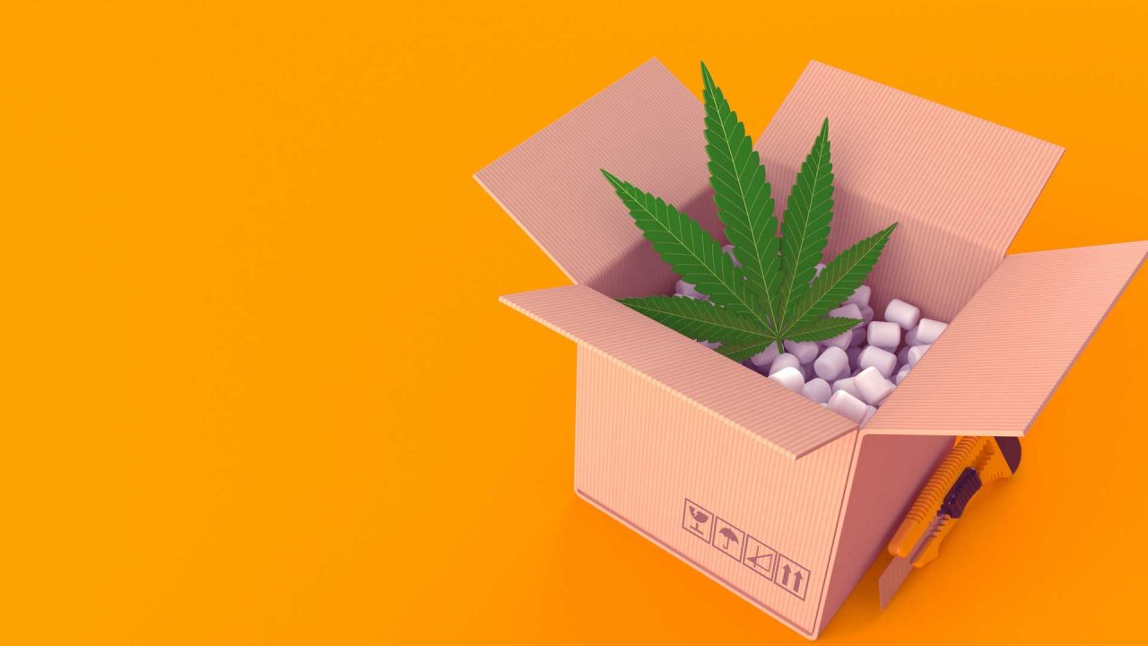Marijuana shipment pic