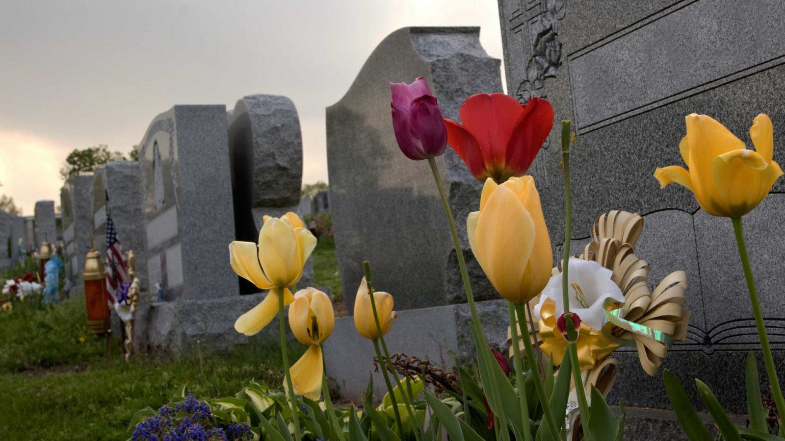 Grave site