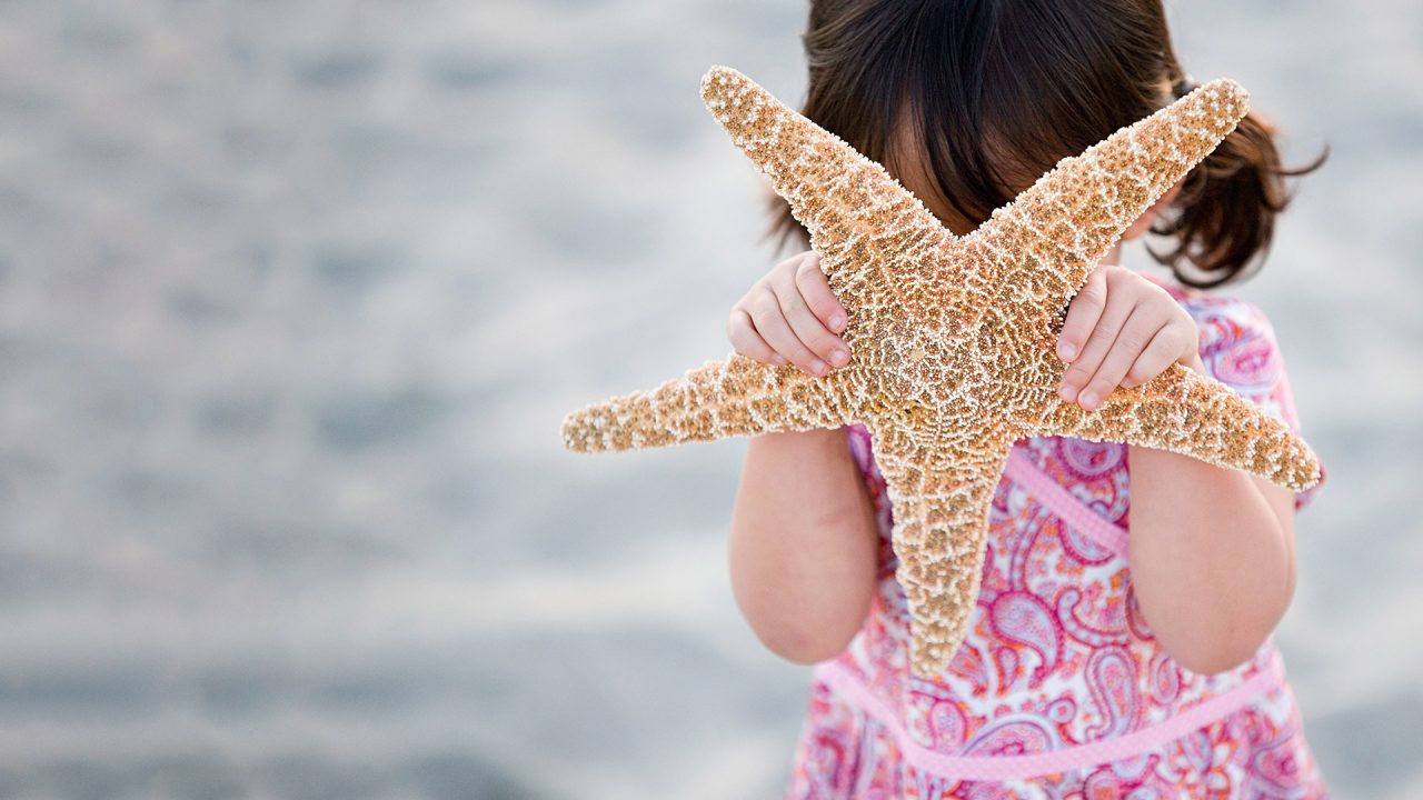 Starfish Story as it relates to Abortion